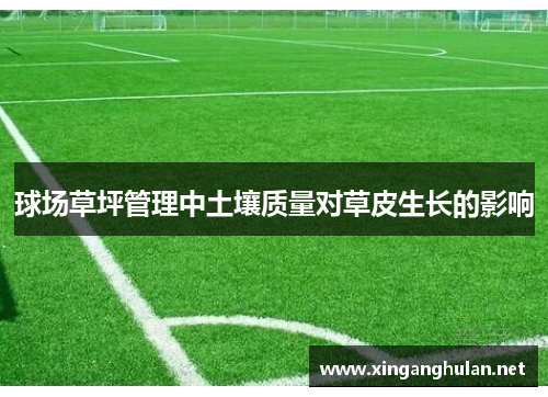 球场草坪管理中土壤质量对草皮生长的影响